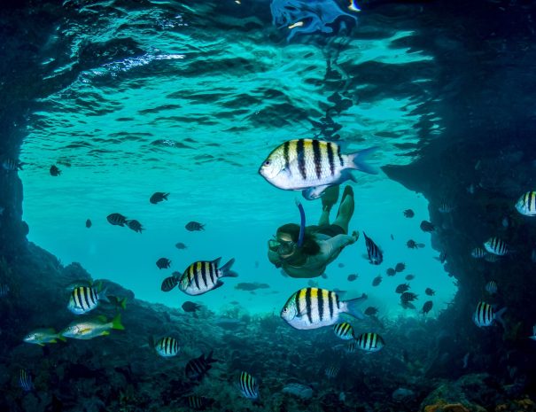 Grotto-Bahamas-12