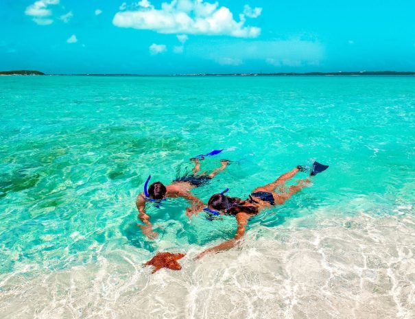 Sandals-Emerald-Bay-Bahamas-Snorkel-Sea-Star